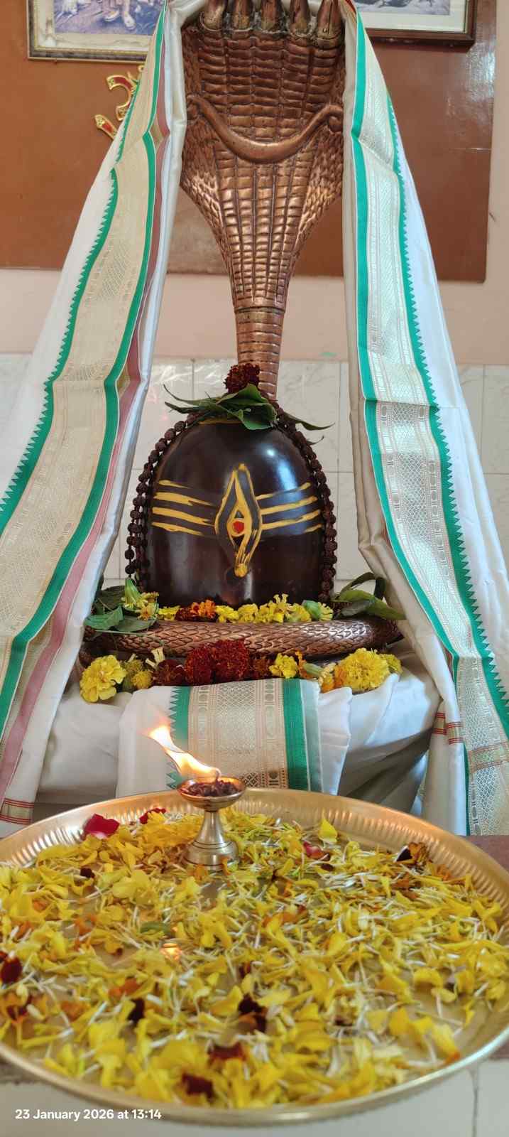 Rudrabhishekam Pooja by ShreeShivaAmba